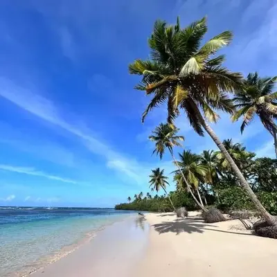 el limón