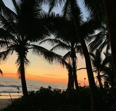 two palm trees on the beach at sunset at Karibisches Familienparadis in Gated Comunity in Sosua