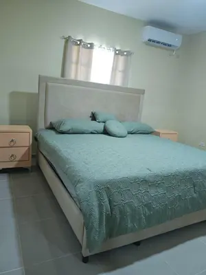 a bedroom with a bed with blue pillows on it at Cozy apartment, AC, Wifi, 2BR, 2Bath, Bani, 1-B in Baní
