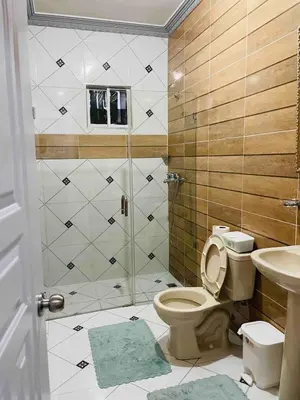 a bathroom with a shower and a toilet and a sink at Stylish Apartment Steps from Puerto Plata Malecon in San Felipe de Puerto Plata