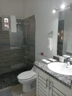 a bathroom with a toilet and a sink and a shower at Casa Brisa del Río in Las Terrenas