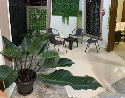 a room with chairs and a plant in the middle at Constanza Family House in Constanza