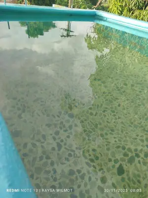 a pool of water with rocks in the water at Parador tropical Raysa in Las Galeras