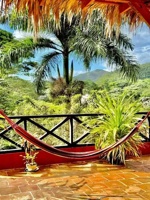 a hammock in a resort with a palm tree at Hostal Luz Del Valle in Santa Bárbara de Samaná