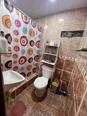 a bathroom with a toilet and a shower at La Casita in Vicente Noble