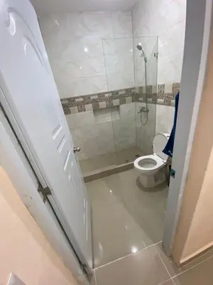 a bathroom with a toilet and a shower at Casa amarilla in La Romana