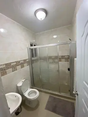 a bathroom with a shower and a toilet and a sink at Casa amarilla in La Romana