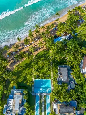 an aerial view of a beach with palm trees at Beachfront Sublime Las Terrenas in Las Terrenas