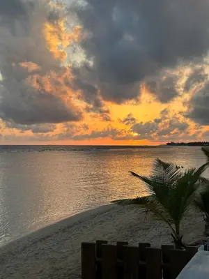 a sunset on a beach with a palm tree at Las Olas Apartment, Juan Dolio in Guayacanes