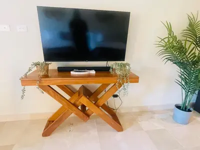 a television on a wooden stand with two plants at Modern 2 Queen Beds Apartment with Garden View in Puerto Plata