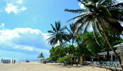 a beach with two palm trees and people on it at impecable 2 Bedroom Apartment Steps from the Pier in San Felipe de Puerto Plata