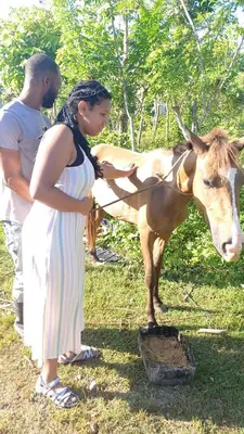 a woman and a man standing next to a donkey at las taranas villa tropical