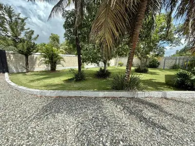 a gravel driveway with palm trees in a yard at Villa San Pedro in San Pedro de Macorís