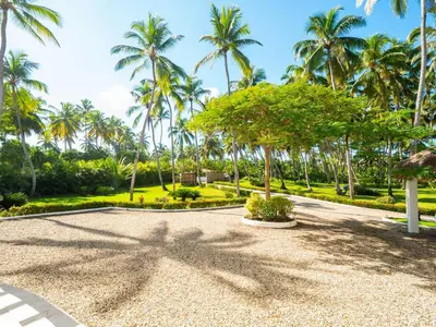 a courtyard with palm trees in a park at Villa Emoción Del Mar - Beachfront Luxury Villa