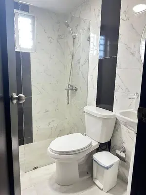 a white bathroom with a toilet and a shower at Cozy Santo Domingo Apartment in San Isidro in Juan López