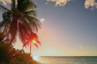 a palm tree sitting on a beach with the ocean at Luxury Family Villa With Pool Near Playa Bonita in Las Terrenas