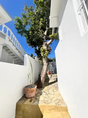 Gallery image of Páraiso frente al mar in San Felipe de Puerto Plata