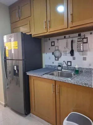 a kitchen with a stainless steel refrigerator and a sink at Las Palmas in Santiago de los Caballeros