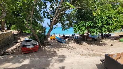 a group of boats on a sandy beach with trees at Descansa sin prisas a minutos del Aeropuerto in La Caleta