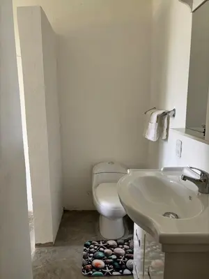 a bathroom with a toilet and a sink at The SeaDog Inn-Oceanfront Villa in Cabrera