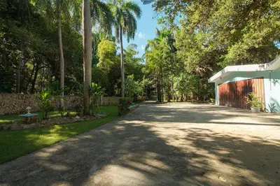 a tree lined driveway with a fence and palm trees at The SeaDog Inn-Oceanfront Villa in Cabrera