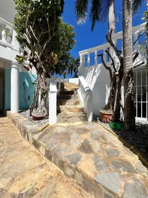 a stone walkway leading up to a house with palm trees at ocean view tropical in Maggiolo