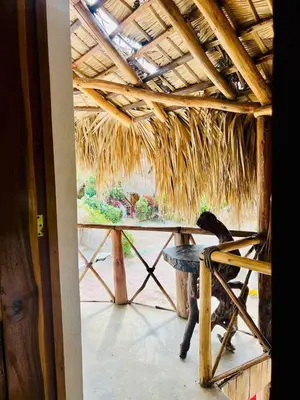 a bird sitting on a table in a straw hut at La Cabañita de Jardín del Coco in Las Galeras