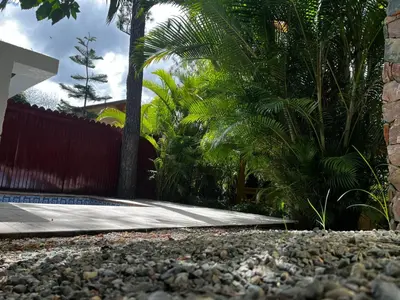 a garden with palm trees and a fence at Villa Orquidea in Buena Vista