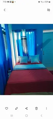 a bedroom with a bed with blue curtains at Apartamentos La Mina in Manuel Chiquito
