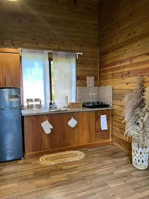 a kitchen with a stove and a refrigerator in a room at Estaciones de Jarabacoa-Mountain Lodge in Jarabacoa