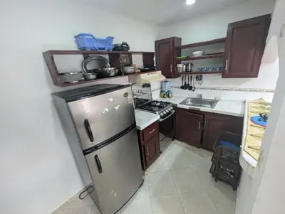 a kitchen with a stainless steel refrigerator and cabinets at small apartment in a downtown area in Cruce de Veragua