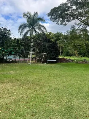 a palm tree in a field with a goal at Estaciones de Jarabacoa - Mountain Lodge in Jarabacoa