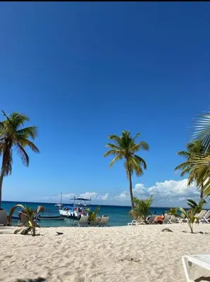 a sandy beach with palm trees and the ocean at Fully furnished 2 bedroom appart in Bayahibe