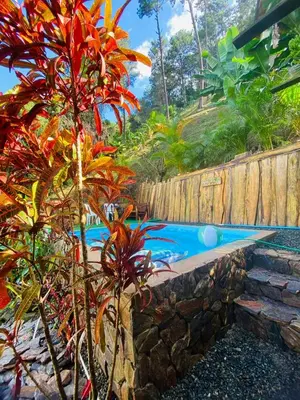 a plant with red leaves next to a swimming pool at Villa el privilegio in Jarabacoa