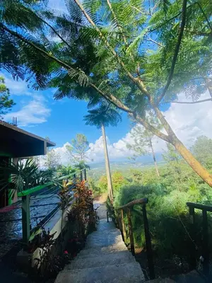 a path leading to a house with palm trees at Villa el privilegio in Jarabacoa