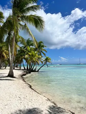 a beach with palm trees and the ocean at Apartamento Vacacional Coral Azul - SBH in Bayahibe
