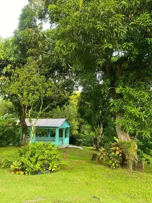 a blue house in the middle of a yard at Casita de Campo VIVE in Pedro Brand