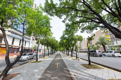 a street with trees on the side of the road at Confortable Apartamento Centro Ciudad in Santo Domingo