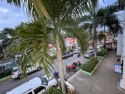 a palm tree in front of a street with cars at Plaza Achim 7 Luxury Apt 250m from Sosua Beach in Sosúa