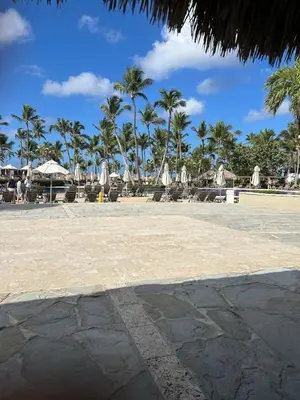 a beach with chairs and umbrellas and palm trees at Maravilla Bayahibe , Stylish Apartment, Pool a Wifi in Bayahibe