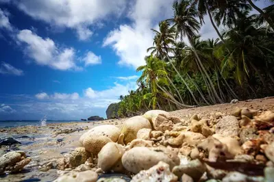 a pile of rocks on a beach with palm trees at Bright studio in the heart of Las Galeras in Las Galeras
