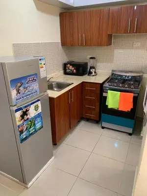 a kitchen with a refrigerator and a stove top oven at Comfortable Apartament 20 Minutes from the airport in San Isidro