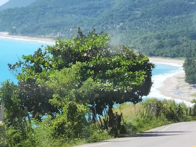 a tree on the side of a road at 2 Bdrm, 1 Bath, Wifi, Near River and Beach, 2R in Paraíso