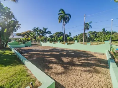 a dirt road with palm trees in the background at 14 Bedroom Villa 2 mins from Sosua in Sosúa