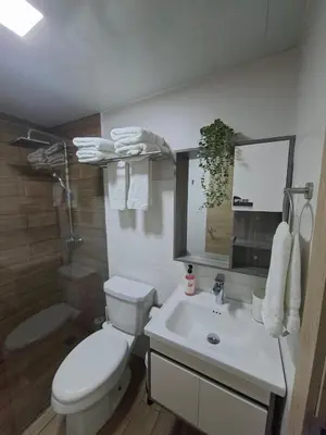 a bathroom with a toilet and a sink at Apartment in Santo Domingo in El Caliche