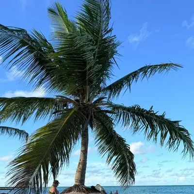 Alexger Beachfront Apartament Bavaro