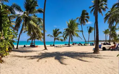 a beach with palm trees and people on it at Punta Cana Penthouse Private Picuzzi & Beach Access in Punta Cana