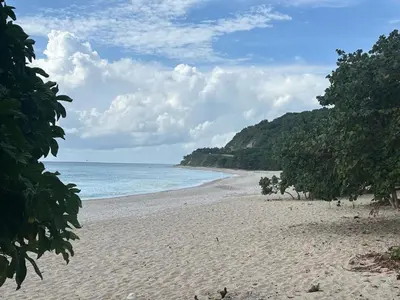 a sandy beach with trees and the ocean at 2 Bdrm, 1 Bath, Wifi, Near River and Beach, 3R in Paraíso