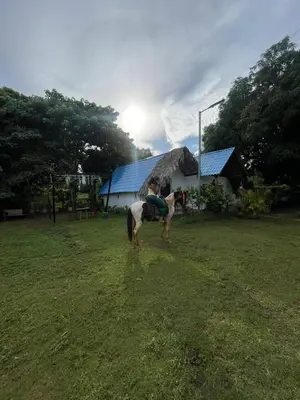 a horse standing in a field in front of a building at Dreamvilles Ecovillage in Las Galeras