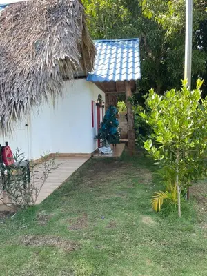 a small hut with a christmas tree in front of it at Dreamvilles Ecovillage in Las Galeras